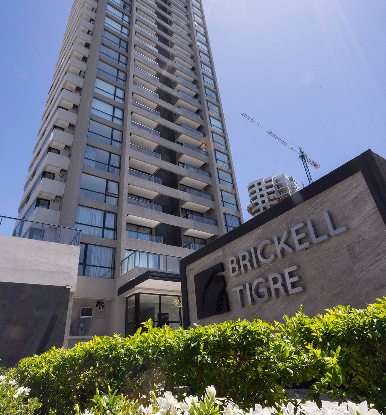 Brickell Tigre
